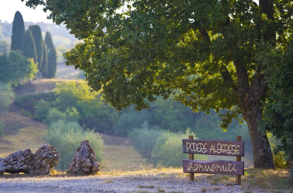 Agriturismo Podere Alberese Affittacamere Asciano Esterno foto